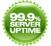 99.9% Server Uptime